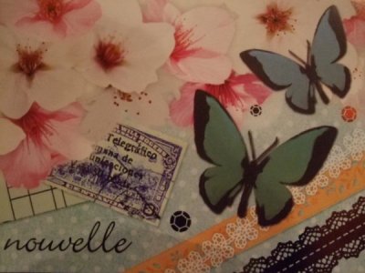 画像3: [再入荷] 春爛漫「蝶と桜」ポストカード