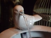 画像1: 室内噴水　Jet　d‘eau　Bird