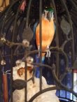 画像4: ルリコンゴウ風インコ・鳥の模型 (4)