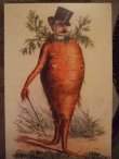 画像2: Victorian Card　人参の紳士のカード (2)