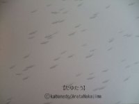 画像3: 【再入荷】「たゆたう」Arata Nakajima　ポストカード