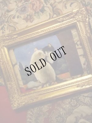 画像2: Renate Koblinger Cat Post Card  (2)