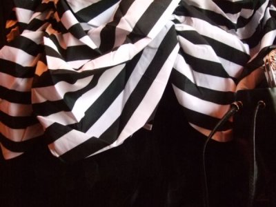 画像3: CIRCUS　白黒ストライプタフタスカート