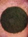 画像4: GRASS　MAT　ROUND　L (4)