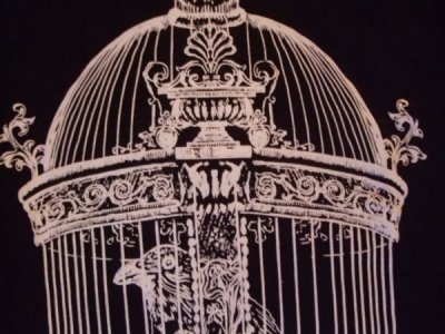 画像1: Raven in victorian cage birdcage women gothic T-shirt
