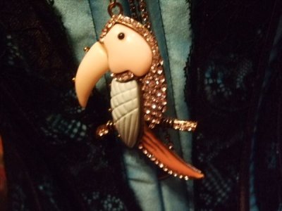 画像3: レトロカラーオオハシのネックレス