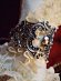 画像3: "DEADLY ROSE" gothic bracelet rose with skull髑髏と青薔薇のブレスレット (3)