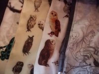 画像3: Apple Owls　タイツ　 ふくろう図鑑