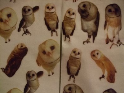 画像2: Apple Owls　タイツ　 ホーちゃんとしーちゃん　メンフクロウ