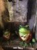 画像1: the Waiter Frog  object doll  (1)