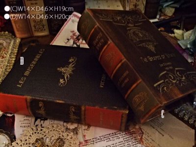 画像2: Antique Book BOX-エンプティブックボックス