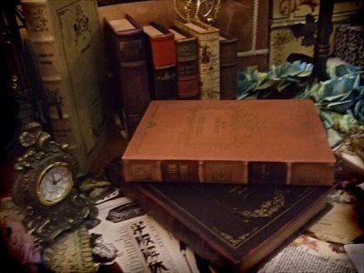 画像3: Antique Book BOX-エンプティブックボックス