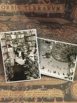 画像1: ドイツ製　モノクロ写真　ポストカード (1)