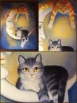 画像5: Anna Hollerer　Cat Post Card (5)
