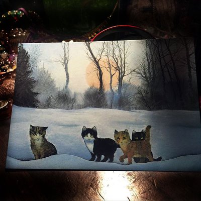 画像1: Renate Koblinger　Cat Post Card