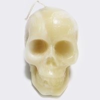 画像2: [期間限定SALE]　Skullcandle.  [V01]