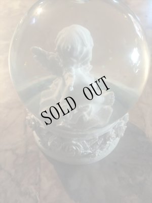 画像8: Rose Angel water dome (8)