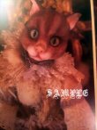 画像5: Mari Shimizu　人形写真ポストカードセット　Ｌ (5)