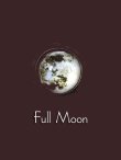 画像1: [再入荷]  Full Moon　一個売り・満月のピアス (1)