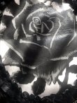 画像1: [展示モデルB品] 黒い薔薇のベルトWaist elastic belt BLACK ROSE in lace frame (1)