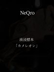 画像1: NeQro 　液浸標本「カメレオン」 (1)