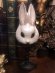 画像9: [再入荷] Rabbit Mask Stand (9)