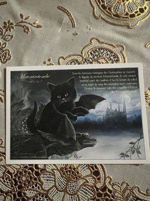 画像2: フランス製　キャットポストカード Matoutretombe (2)