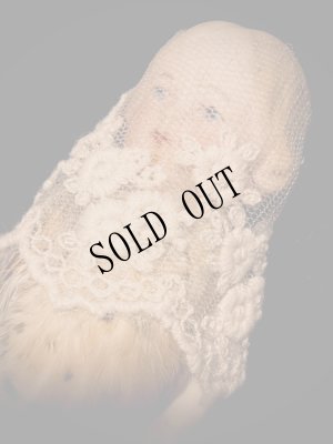 画像3: Phoebe on Wednesday (3)