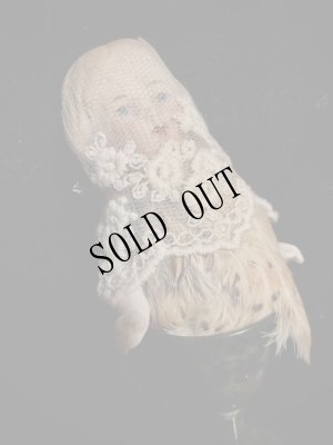 画像4: Phoebe on Wednesday (4)