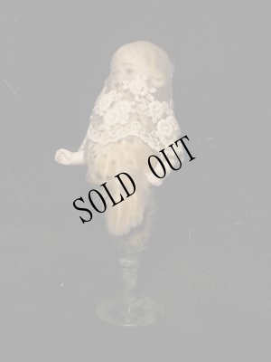 画像6: Phoebe on Wednesday (6)