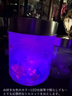 画像8: No.22：月下美人標本 (8)