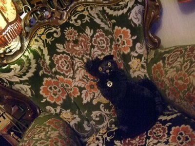 画像3: Black Velour Cat Doll Gorgeous cushion