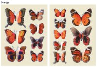 画像1: BUTTERFLY POP UP STICKER