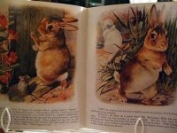 画像3: 洋書[The tale of Peter Rabbit]Story Book