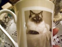 画像2: [数量限定]Sepia Cat Mug　cup