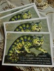 画像5: フランス製　キャットポストカード　Septembre Chameleon (5)