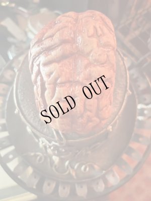 画像5: Horror toy　Brain objet　made in USA (5)