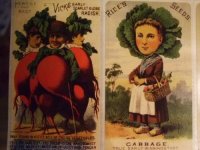 画像2: 【再入荷】Victorian seal [The gentleman of vegetables ]　Brier Rose