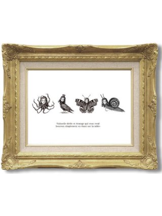 再入荷]no.011鳥王 アートポスター A4サイズ淑女雑貨Toe Cocotte