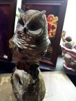 画像15: OWL　センサーバードオブジェ (15)