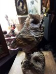 画像1: OWL　センサーバードオブジェ (1)