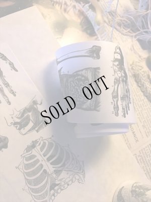 画像5: 再入荷  人体解剖図　太幅マスキングテープ (5)