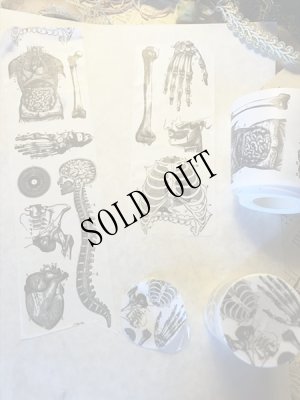 画像4: 再入荷  人体解剖図　太幅マスキングテープ (4)