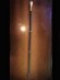 画像1: Freemasons WALKING STICK　Masonic Cane　フリーメイソン　杖　ゴールドハンドル　コンパス (1)