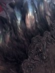 画像3: Goth&Vampire Queen Elizabeth Collar レースと羽の扇型立ち襟 (3)