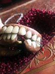 画像12: 「大正時代の入れ歯」ネックレス（両あご） (12)