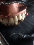 画像14: 「大正時代の入れ歯」ネックレス（両あご） (14)
