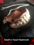 画像1: 「大正時代の入れ歯」ネックレス（両あご） (1)
