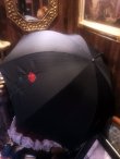 画像2: 薔薇刺繍・かわず張り　婦人長傘　遮光加工 (2)