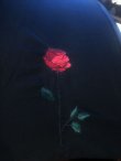 画像14: 薔薇刺繍・かわず張り　婦人長傘　遮光加工 (14)